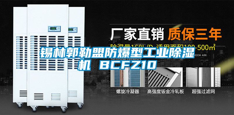 錫林郭勒盟防爆型工業(yè)除濕機 BCFZ10