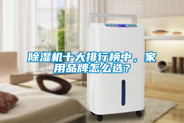 除濕機(jī)十大排行榜中，家用品牌怎么選？