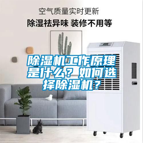 除濕機(jī)工作原理是什么？如何選擇除濕機(jī)？