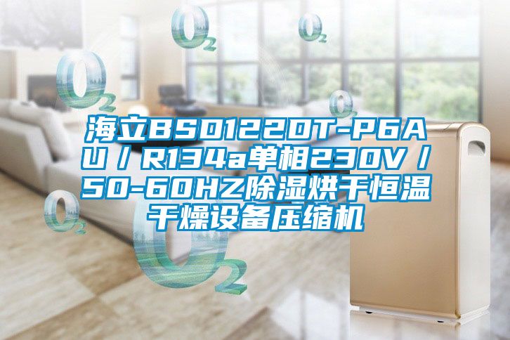 海立BSD122DT-P6AU／R134a單相230V／50-60HZ除濕烘干恒溫干燥設(shè)備壓縮機(jī)