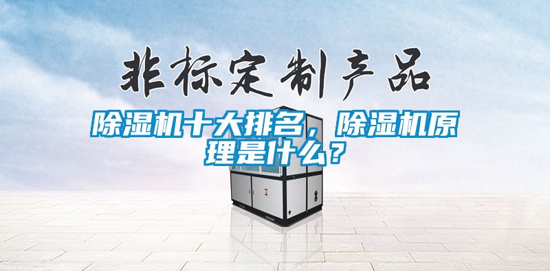 除濕機(jī)十大排名，除濕機(jī)原理是什么？