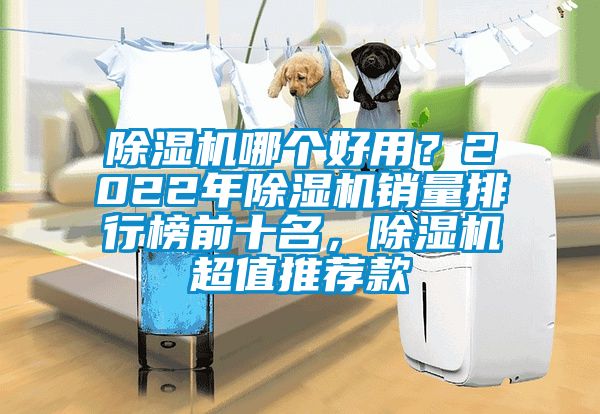 除濕機哪個好用？2022年除濕機銷量排行榜前十名，除濕機超值推薦款