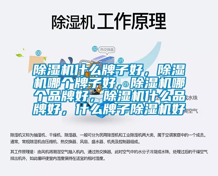 除濕機什么牌子好，除濕機哪個牌子好，除濕機哪個品牌好，除濕機什么品牌好，什么牌子除濕機好