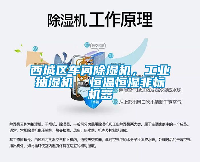 西城區(qū)車間除濕機，工業(yè)抽濕機  恒溫恒濕非標機器