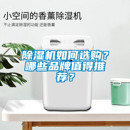 除濕機如何選購？哪些品牌值得推薦？