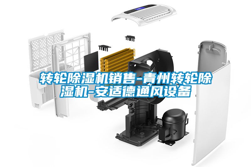 轉輪除濕機銷售-青州轉輪除濕機-安適德通風設備