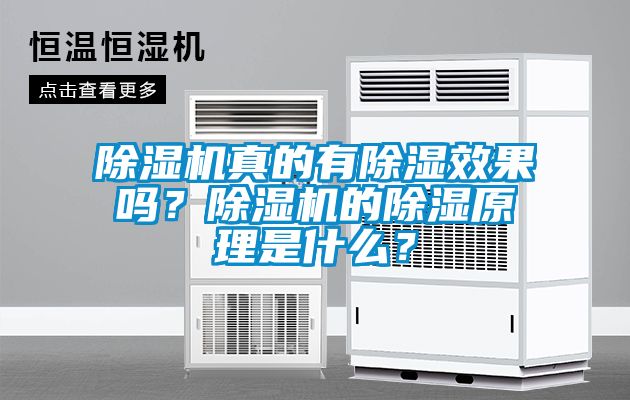 除濕機真的有除濕效果嗎？除濕機的除濕原理是什么？