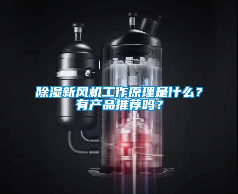 除濕新風機工作原理是什么？有產品推薦嗎？