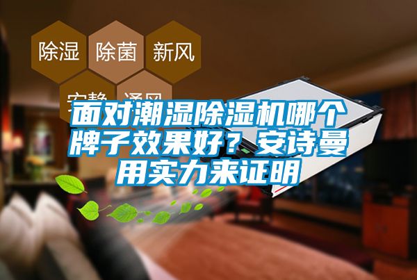 面對潮濕除濕機哪個牌子效果好？安詩曼用實力來證明