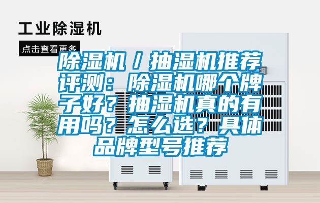 除濕機／抽濕機推薦評測：除濕機哪個牌子好？抽濕機真的有用嗎？怎么選？具體品牌型號推薦